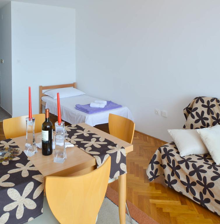 Apartment Natasa 诺维·维诺多尔斯基 客房 照片